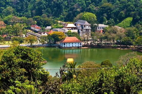 Kandy .